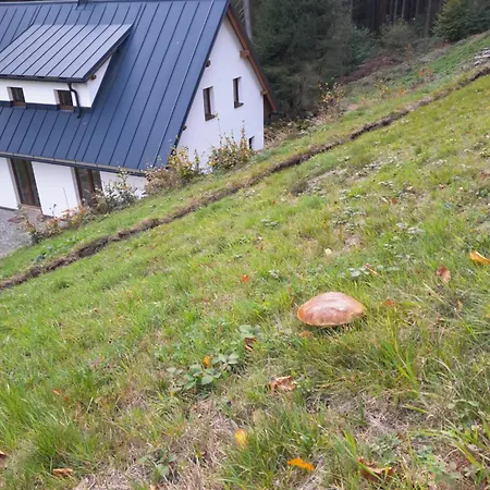 Ambach *