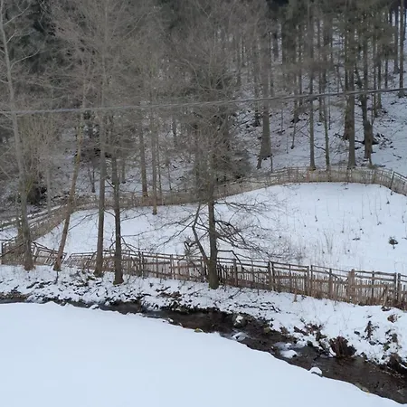 Ambach *